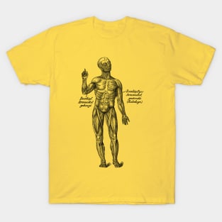 German Diagram Arm Muscular System - Vintage Anatomy T-Shirt